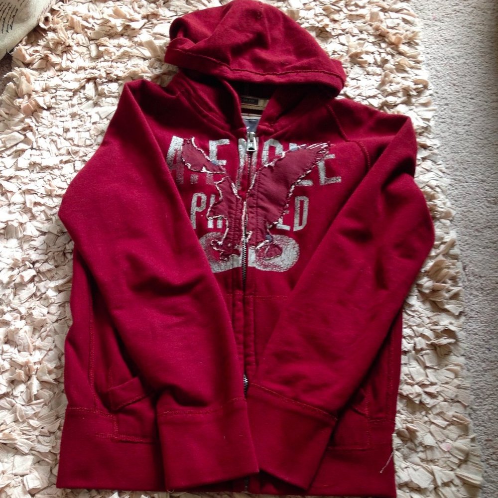 American Eagle Vintage Fit Hooded Sweatshirt - Picture 5 of 9
